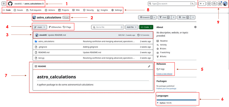 Github repository homepage